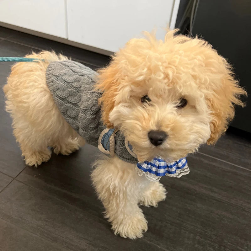 CozyPaws Knitted Dog Sweater