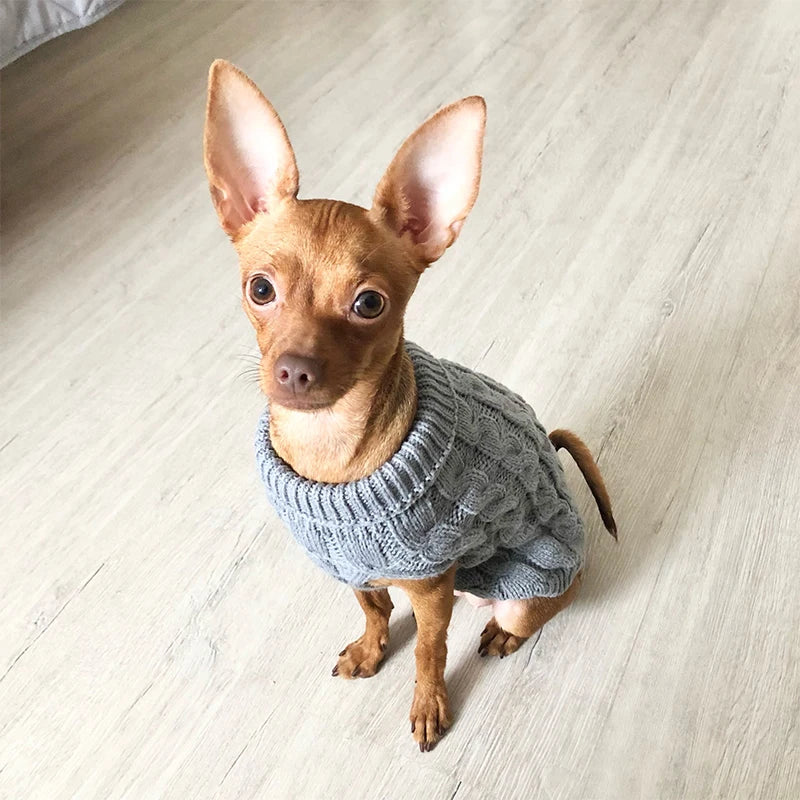 CozyPaws Knitted Dog Sweater